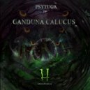 Psytuga - Undívago (Original Mix)