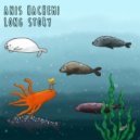 Anis Hachemi - Wrong