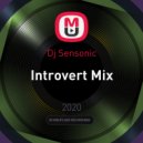 Dj Sensonic - Introvert Mix