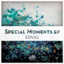 Edviq - Muziq (Original Mix)