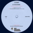 Ceebar & DysFoniK - The Introduction (Intergalactic AfroTech Mix)