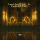 Organic Soup Vs Reality Sky - The Dark Garden (Original Mix)