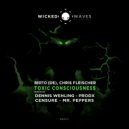 Chris Fleischer - Strange Mind (Dennis Wehling Remix)