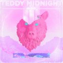Teddy Midnight & David Schnurman - Daylight (feat. David Schnurman)