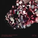 Carlo Russo - Analytic Disaster (Loris Panaia Remix)