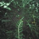 Space Sound - Frecuencia