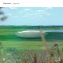Plesiada - Seed (Original Mix)
