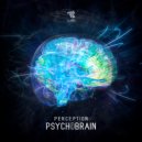 Perception - Psychobrain