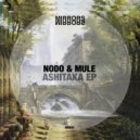 NODO, Mule (ARG) - San