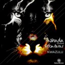 Mshudu ft Felemtwini - KwaZulu (Instrumental)
