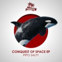 PIPO SALTY - Space Travel