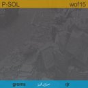P-Sol - Rjr