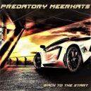 Predatory Meerkats - Flight Into Eternity