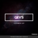 CEV's - Equation Unsolved
