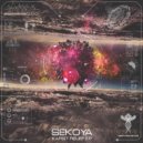 Neuronod - Probe Scan (Sekoya Remix)
