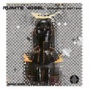 Ruimte Vogel - Captain