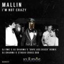 Mallin - I\'m Not Crazy (DJ Dharma 900 & Studio Cross Dub Remix)