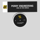 Perry Engineering - Soul In This World (Original Mix)