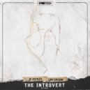 D-Verze & Infirium feat. Els - The Introvert (Radio Edit)