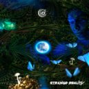 Space Pirate - Enter The Void