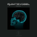 Ruimte Vogel - Talent