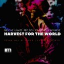 Groove Junkies & Reelsoul feat. Nichelle Monroe - Harvest For The World Pt. 3
