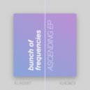 Bunch of Frequencies - Promises (Original Mix)