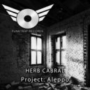 Herb Cabral - Project Aleppo