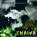 Shaiva - Academy