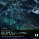 Ulnar Dimelia - Neural Maintenance of A Prokariot Life