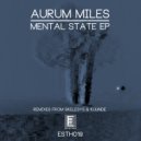 Aurum Miles & In Link - Mental State (Skelesys Remix)