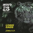 Livan Gaos - In Da House (Original Mix)