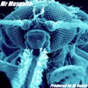 Dr House - Mr Mosquito