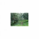 Mindfulness Healing BGM Project - Module & Sensitivity