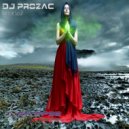 DJ Prozac - Lyrical Soul