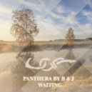 Panthera By B & J - The Laugh Beat Sound