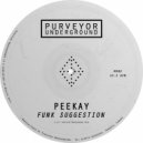 Peekay - Funk Suggestion (Original Mix)