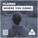 Vladees - Where You Going