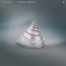 Transistorcake - Future Plan I