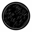 Sil - Prospect (Original Mix)