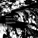 Paul Schindler - Synthetic Symphony (Original Mix)