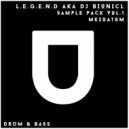 L.E.G.E.N.D. aka DJ Bionicl - Bass 2