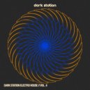 SkyRon - Crazy Cat (Original Mix)