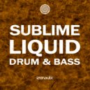Robert Kanford - Walk Of Fame (Skullykt Radio Edit)