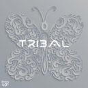 ZebraCak3 - Summer (Original Mix)
