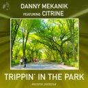 Danny Mekanik Feat. Citrine - Trippin\' In The Park (Danny Mekanik Extended Mix)