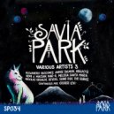 George Levi - Savia Park Various Artists 3