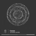 Carara - Astronaut Program