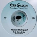 Proh Mic & E. Live - Baby I Got It (Original Mix)