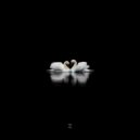 Anthony El Mejor feat. Spivakovski - Swan Lake